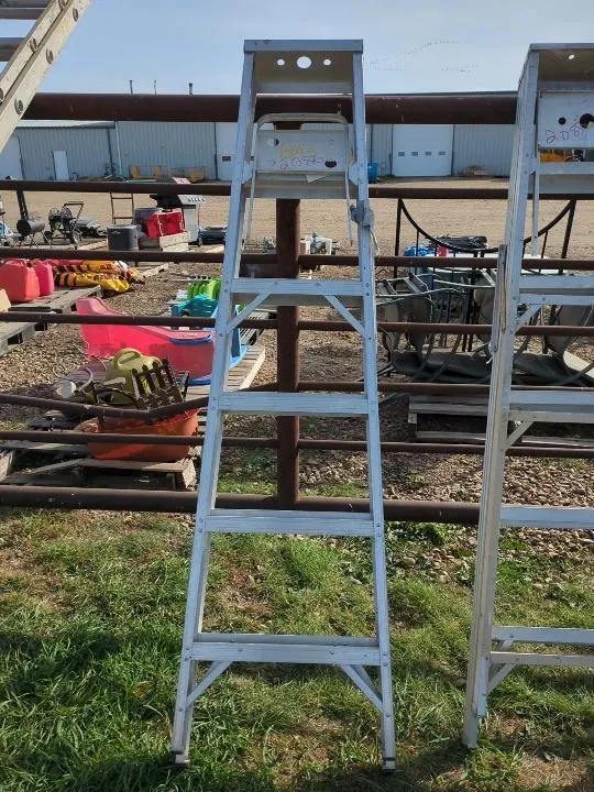5 Step Ladder 2