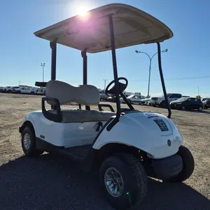 2013 YDRAX3F 2-Passenger Yamaha Golf Cart
 UNRESERVED