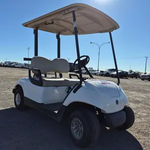 2014 YDRAX4 2-Passenger Yamaha Golf Cart
 UNRESERVED
