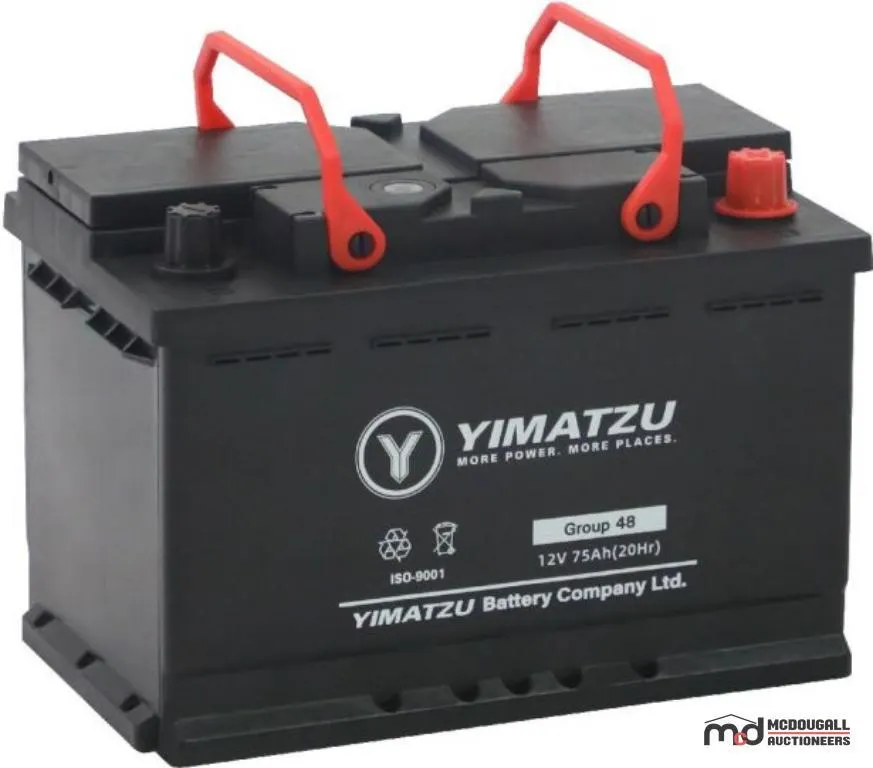 Yimatzu Group 48 Battery
UNRESERVED
