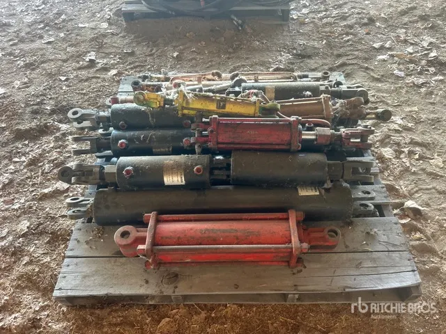 Quantity of (23) Assorted Hydraulic Cylinders