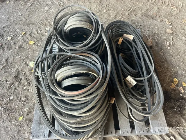 Quantity of Assorted Belts