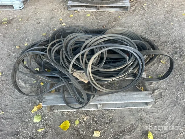 Quantity of Assorted Belts