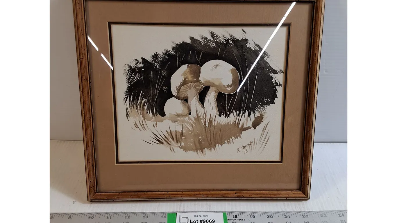 Vintage 1978 Framed Mushroom Art Print-13"x12"
