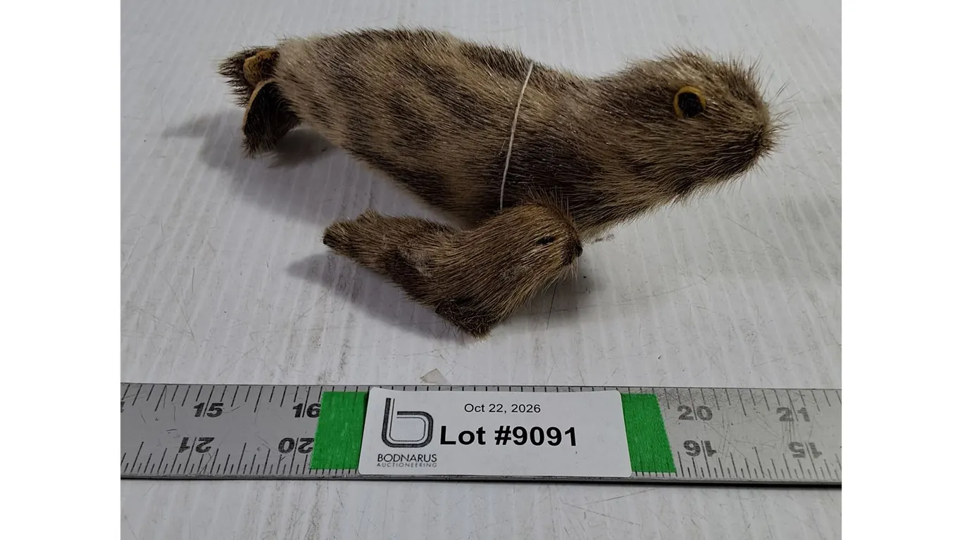 Handmade Inuit Souvenir Figurine Crafted from Real Seal Fur,Seal and Pup