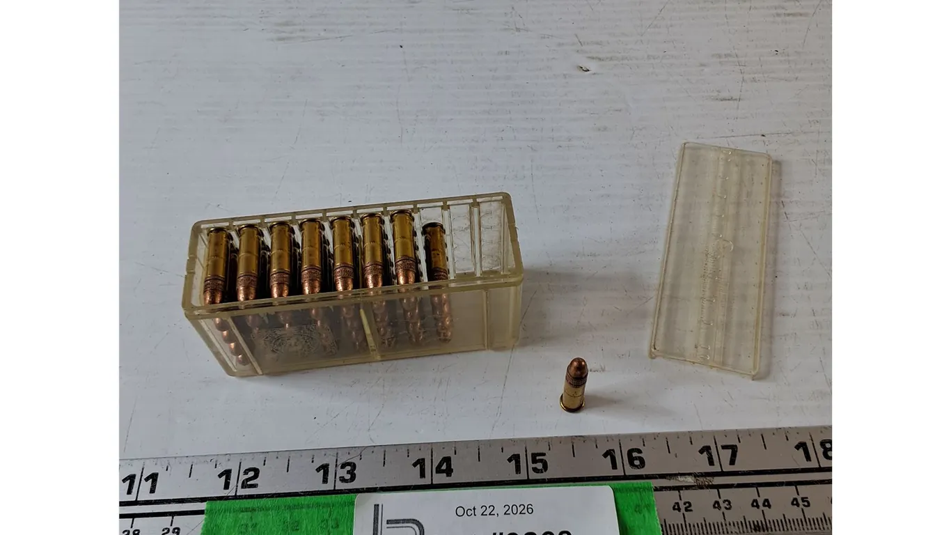 *^(40) .22 Bullets Cartridges No Shipping, PAL Required