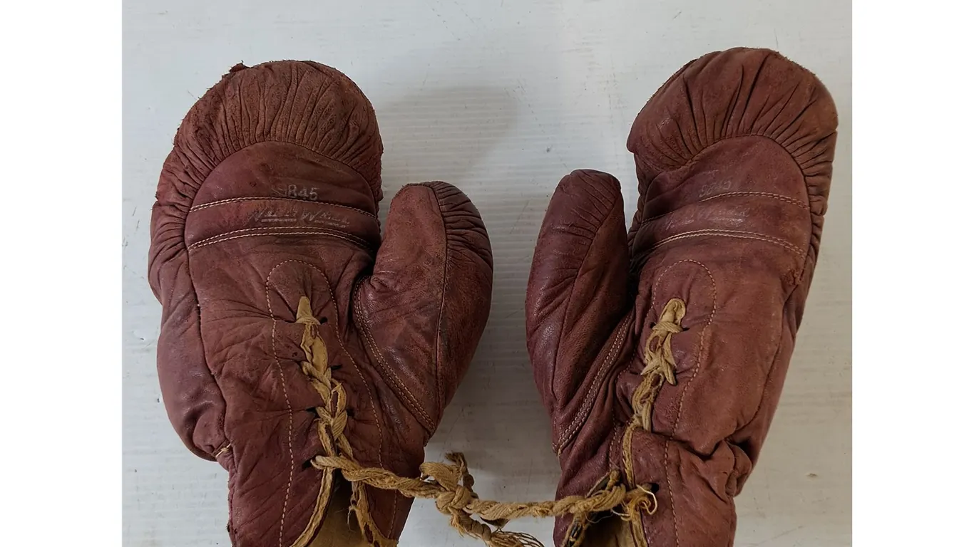 Winn Well Leather Boxing Gloves