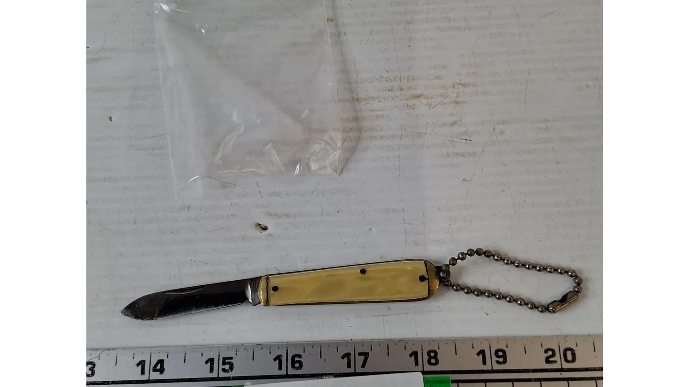 4" Pocket Knife