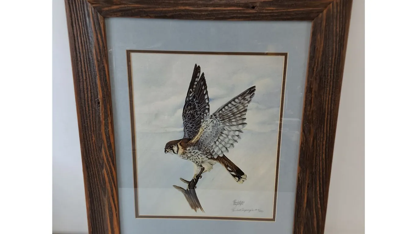 Painting Print "Approaching Storm" of Sparrow Hawk by Paulette Sapergia 21 1/4" x 25 1/4"