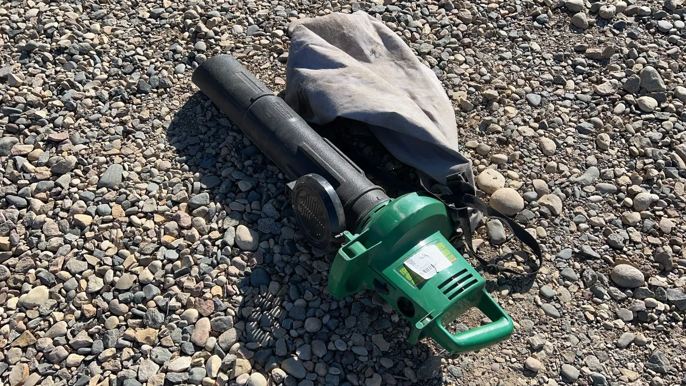 Electric Leaf Vac