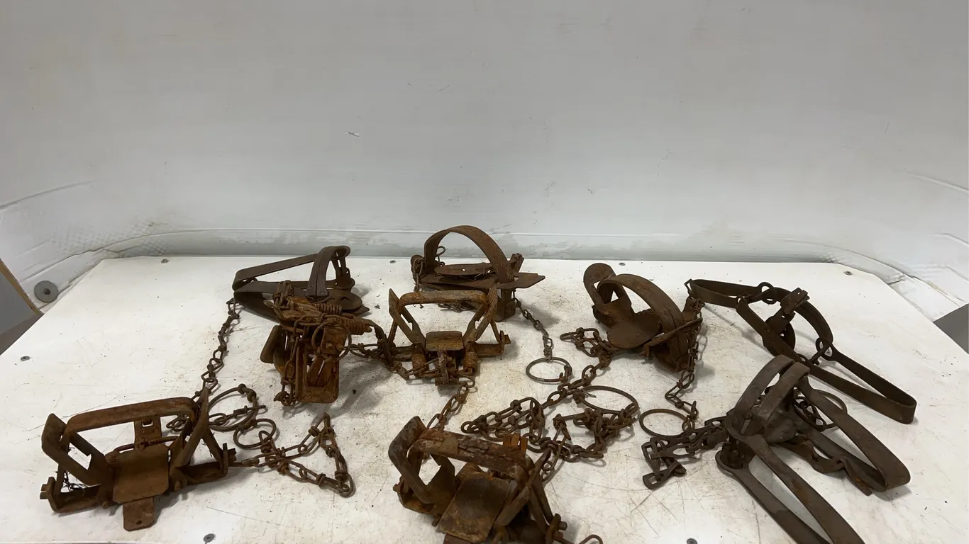 9 - Coyote/Wolf Traps