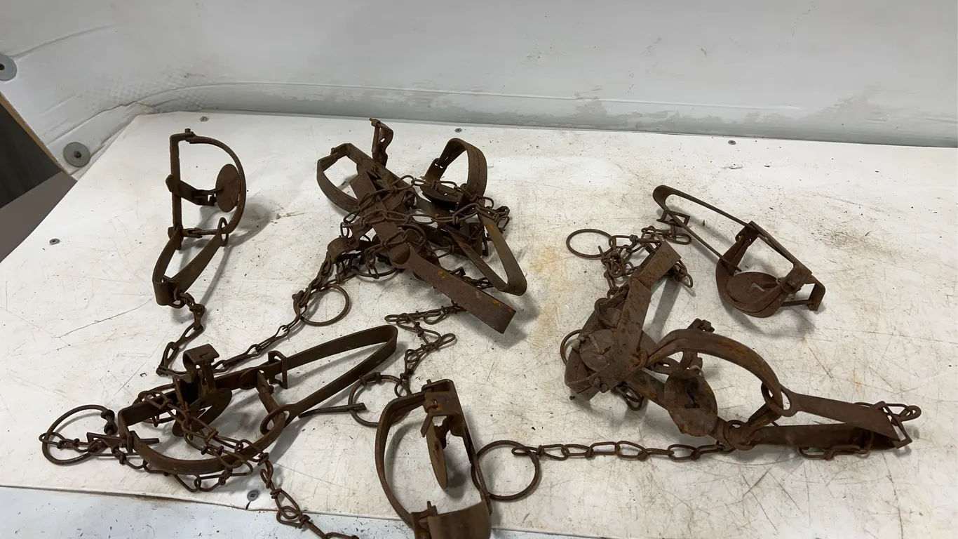 9 - Victor 1 1/2" Traps