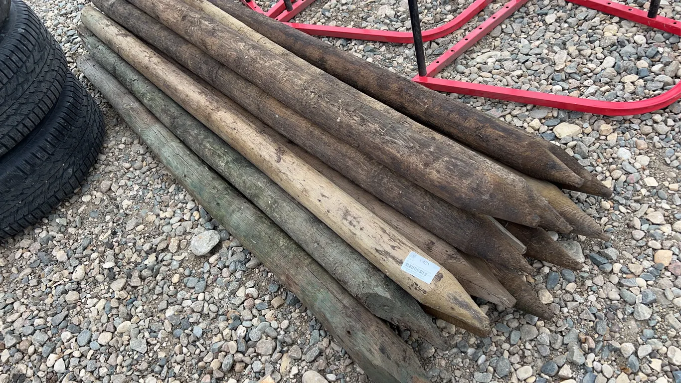 15 - 6"-7" x 8' Treated Fence Posts