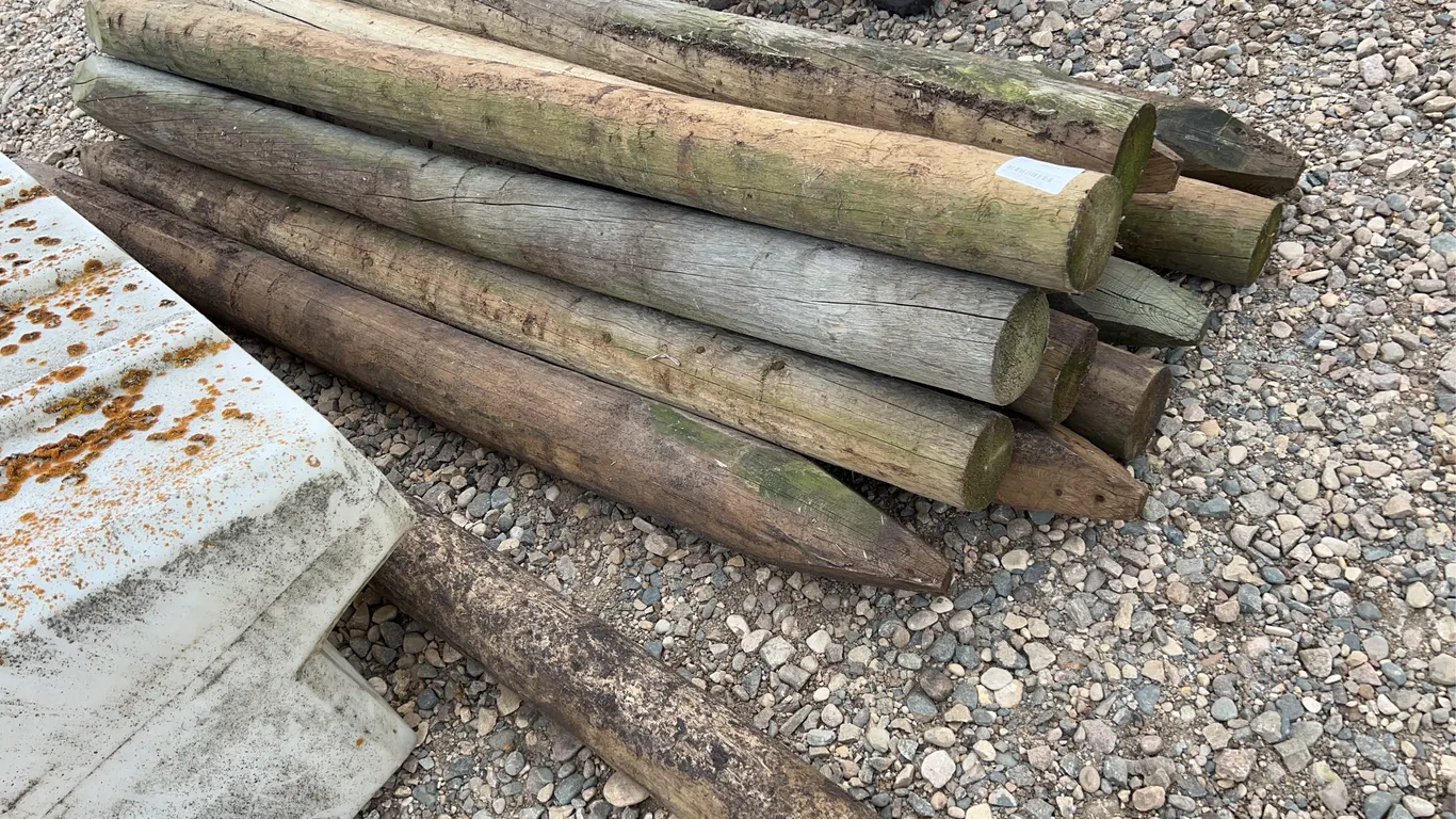 Treated Fence Posts
