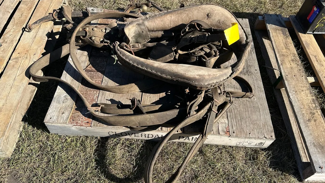 Heavy Horse Harness, Hames, Bridle, Etc.