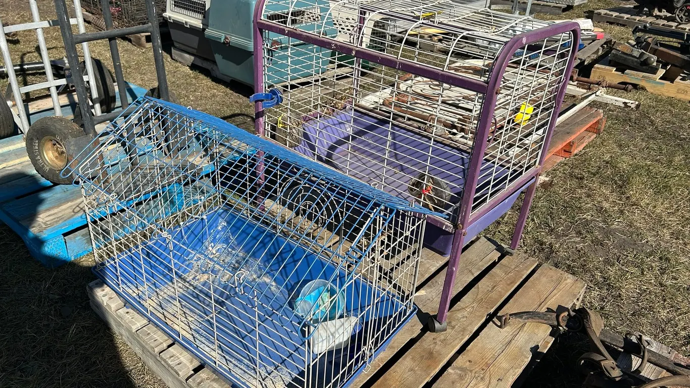(2) Bird Cages