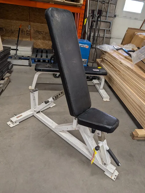 Apex Adjustable Weight Bench