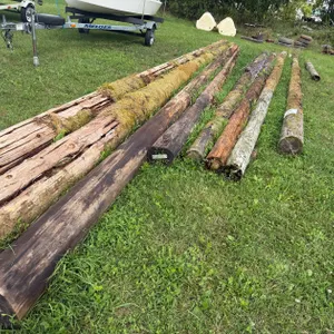 Telephone Poles