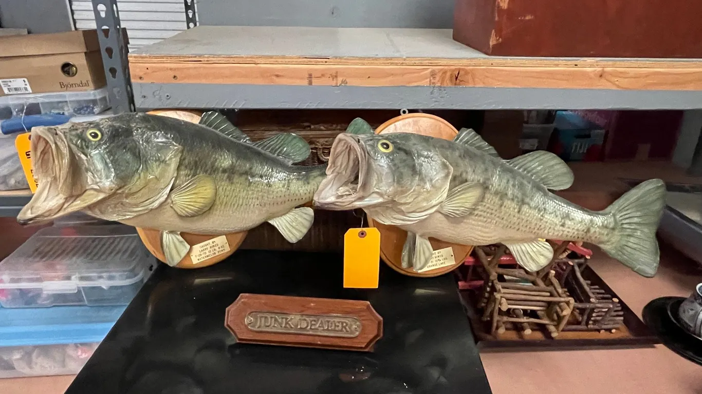 Bass Fish Wall Decor & Desk Sign
