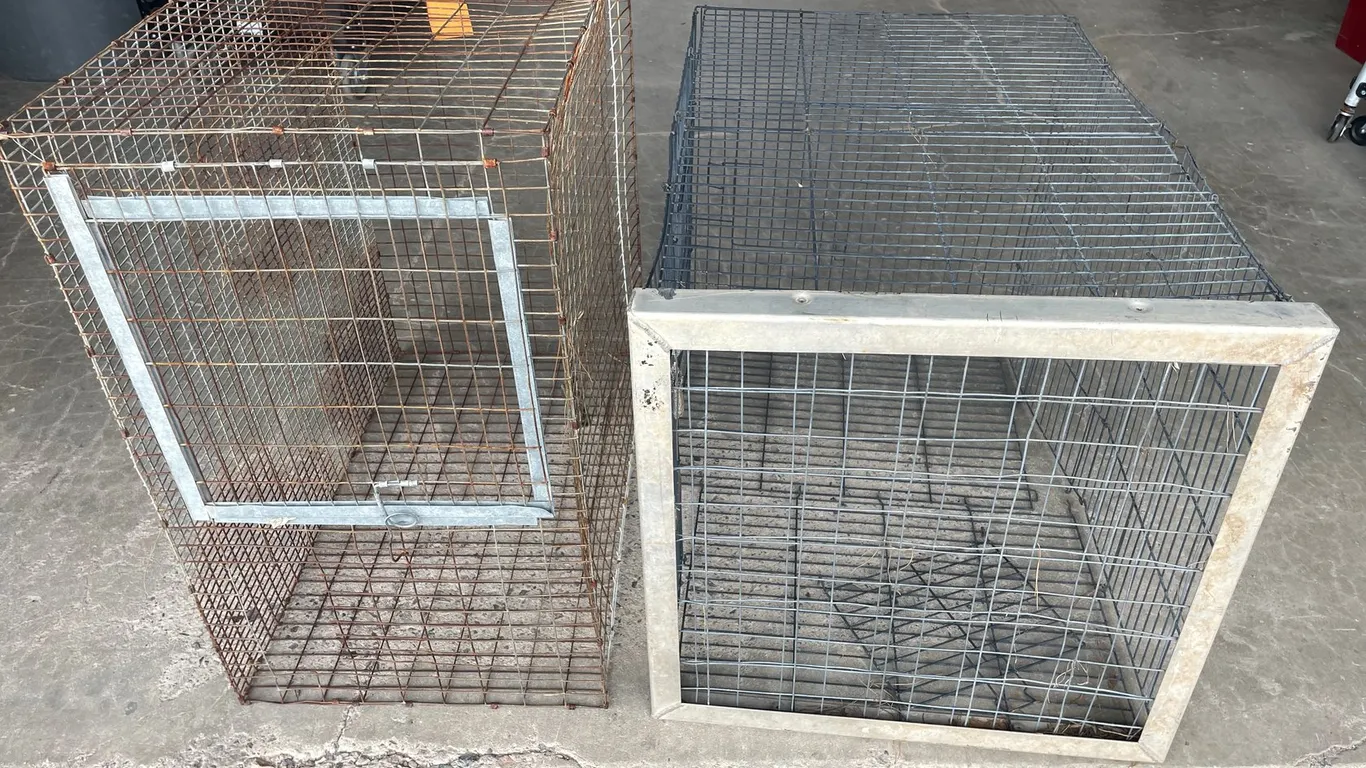 Rabbit Cages