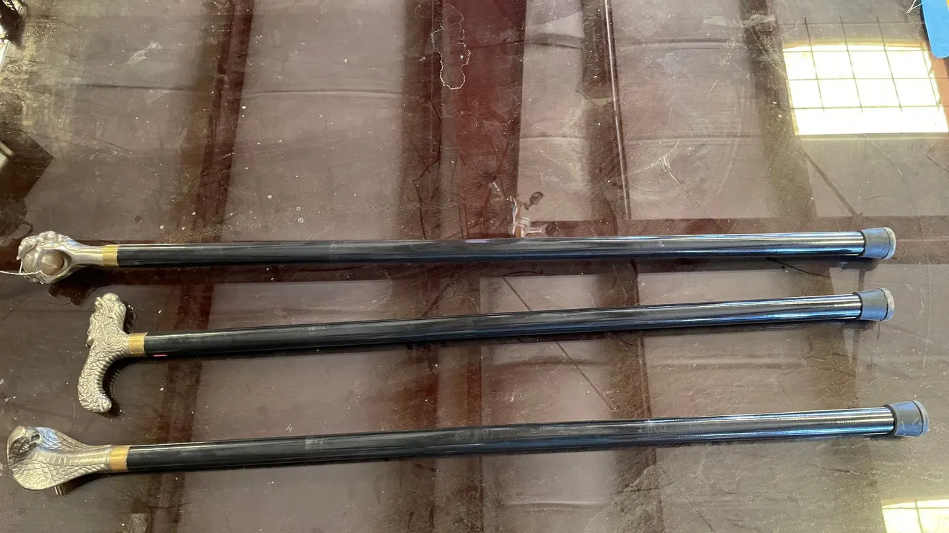 (3) Sword Canes