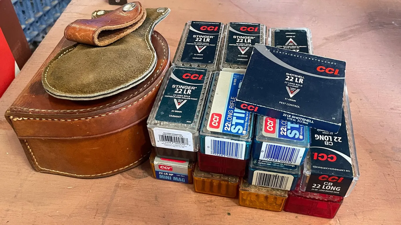 Lot of Assorted .22 LR Rounds