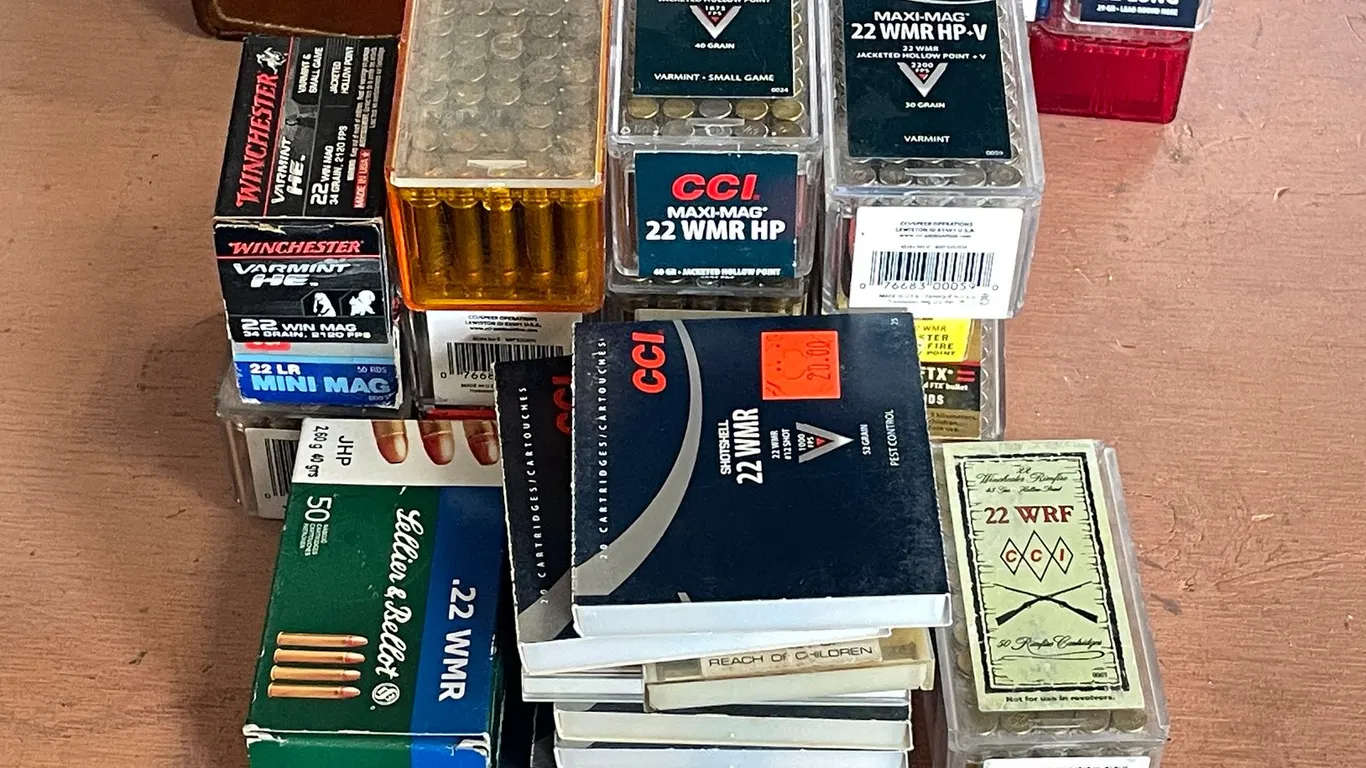 Lot of Assorted .22 Mag Rounds