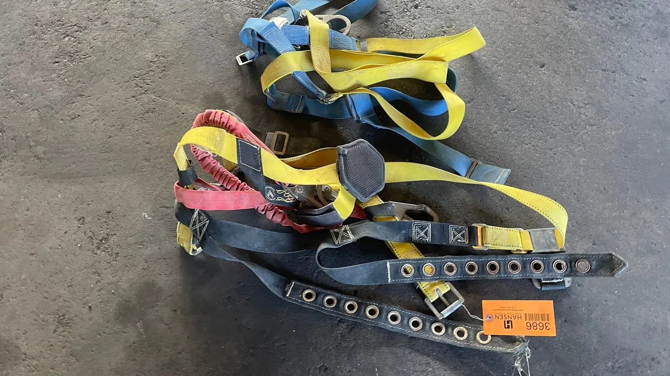 (2) Safety Harnesses
