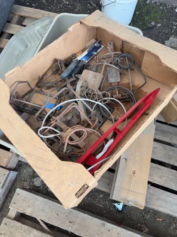 Traps, Supplies and Muskrat Forming Boards