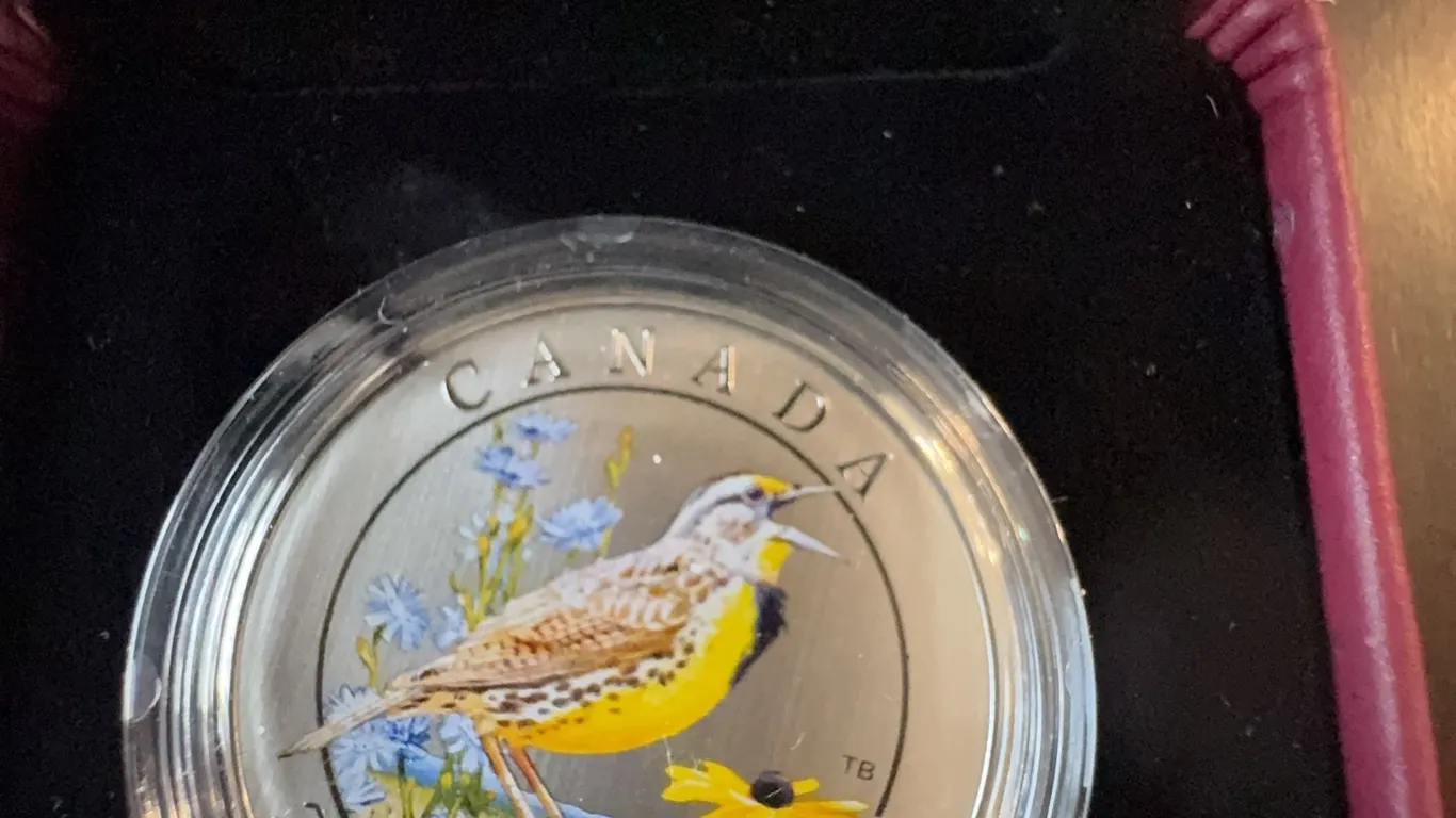 2014 Canada 25 Cents Coloured Coin Eastern Meadowlark Not Silver in Case