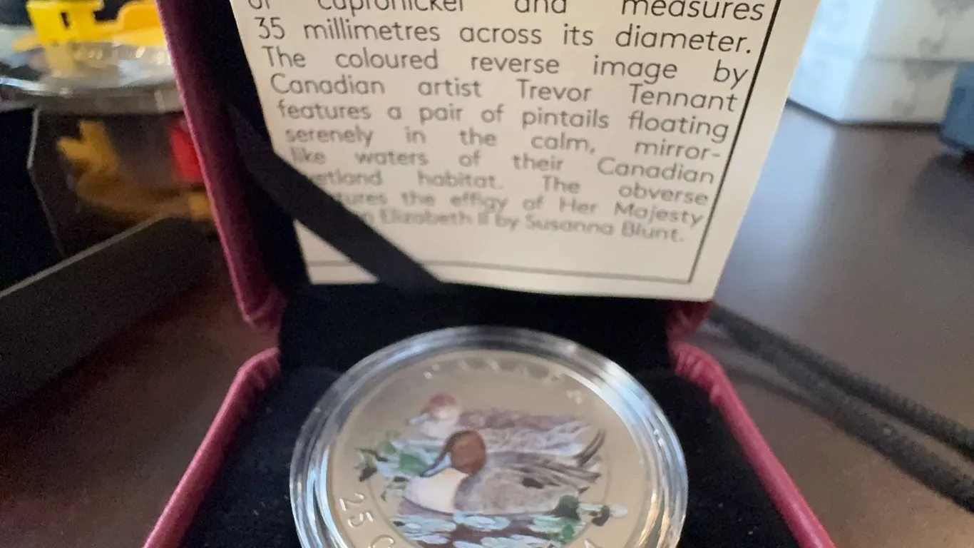 2014 Canada 25 Cents Coloured Coin Pintail Ducks Trevor Tennant Cupro-nickel 35mm