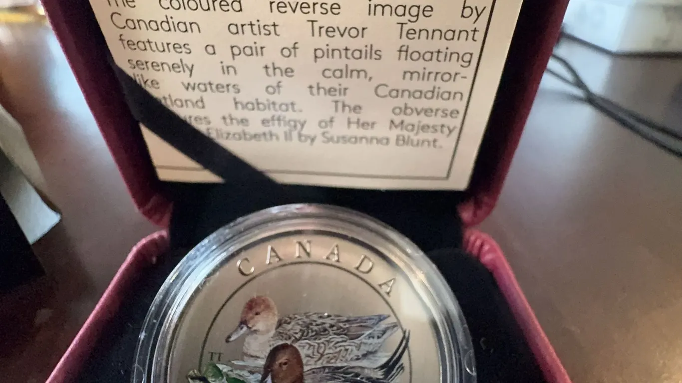 Canada 2014 25-Cent Coin with Pintails by Trevor Tennant, Cupronickel, 35mm