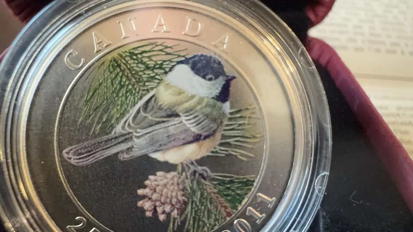 2011 Royal Canadian Mint 25-Cent Coloured Chickadee Coin in Box with COA