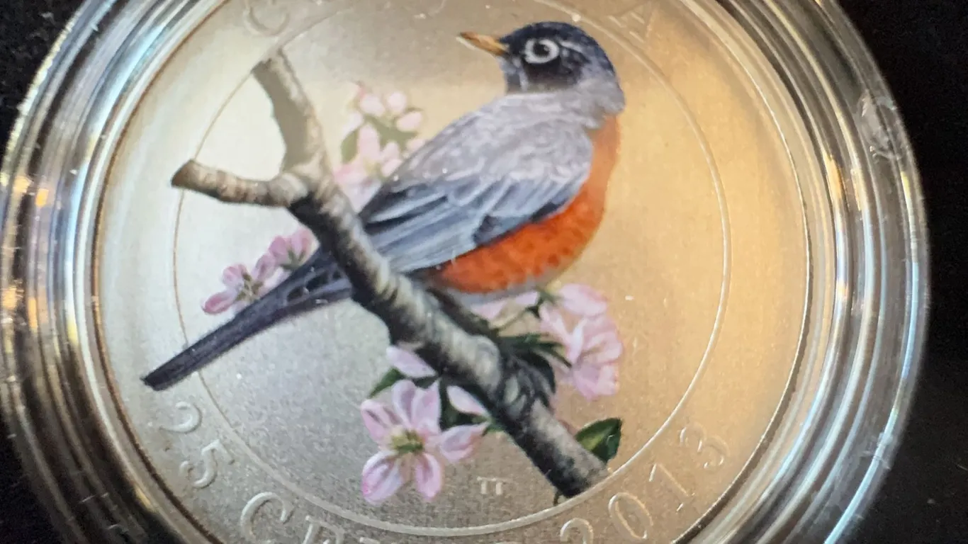 2013 Canada 25 Cent Painted Cupronickel Coin American Robin by Trevor Tennant