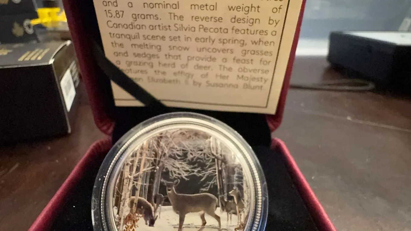 2017 $10 Fine Silver Coin Spring Sightings Canada 34mm 99.99% Pure with Case