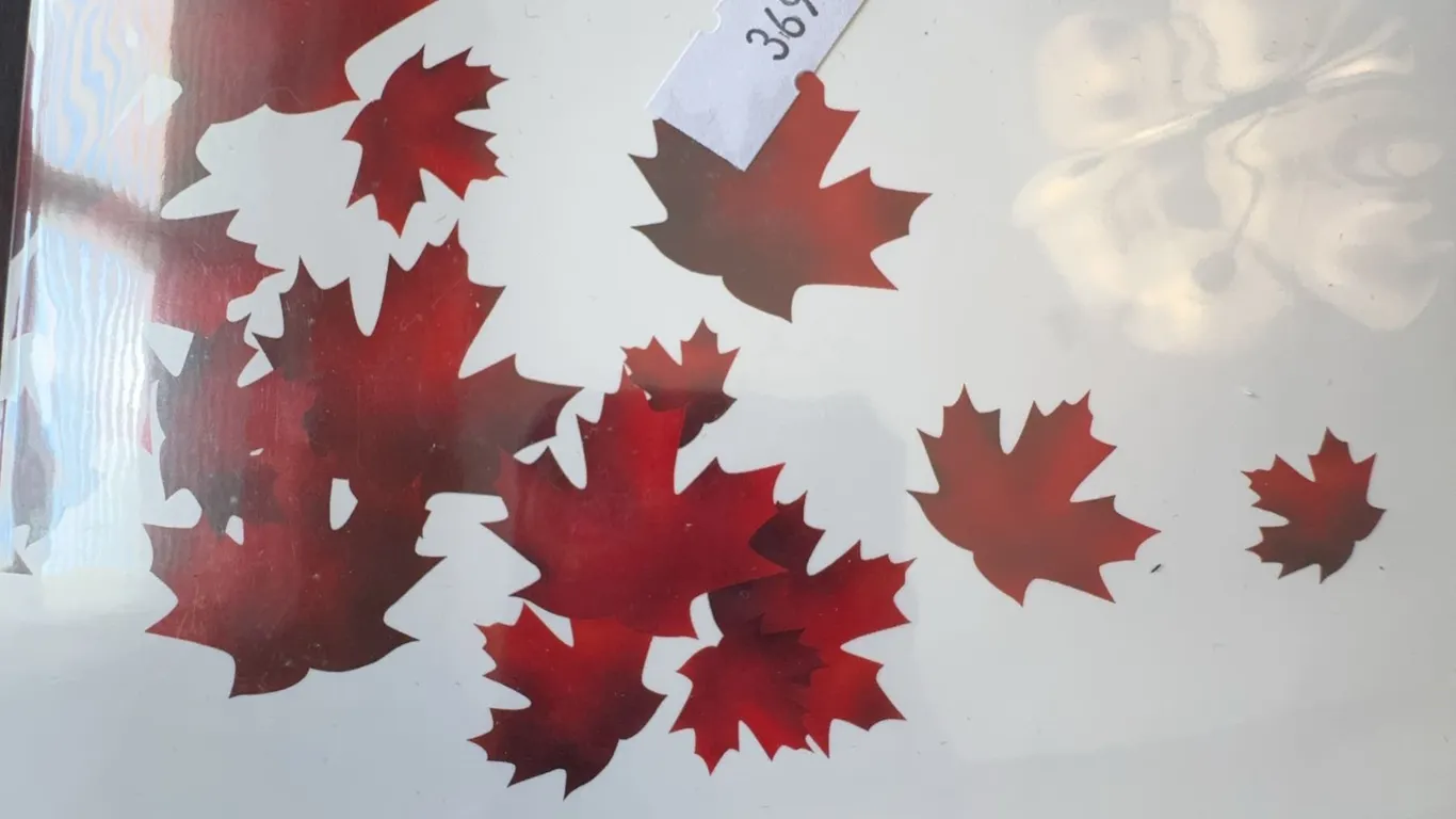 2018 Royal Canadian Mint $10 Fine Silver Coin Maple Leaves with Packaging