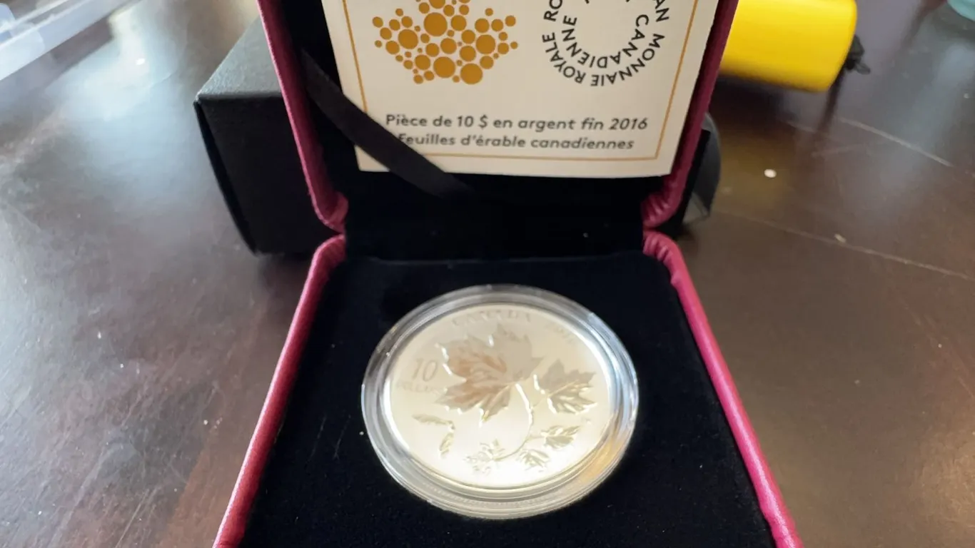 2016 $10 Fine Silver Coin Canadian Maple Leaves Royal Canadian Mint in Case