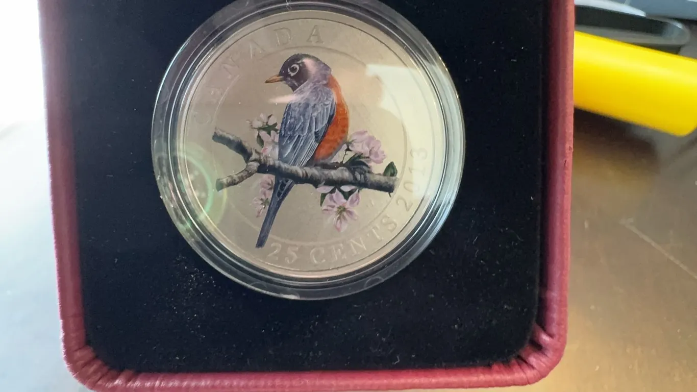 2013 Canada 25 Cents Coloured Coin American Robin in Case
