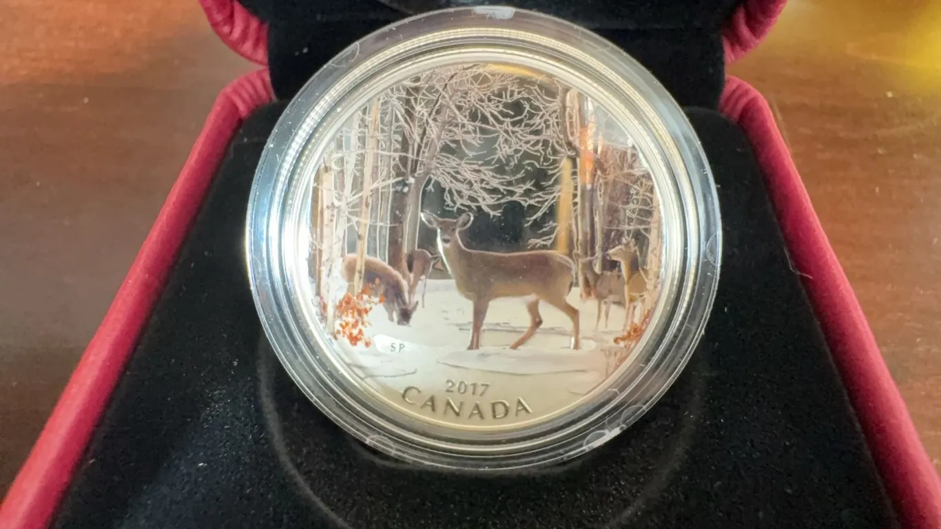 2017 Canada $10 Coloured Silver Coin by Silvia Pecota, 99.99% Pure, Queen Elizabeth II