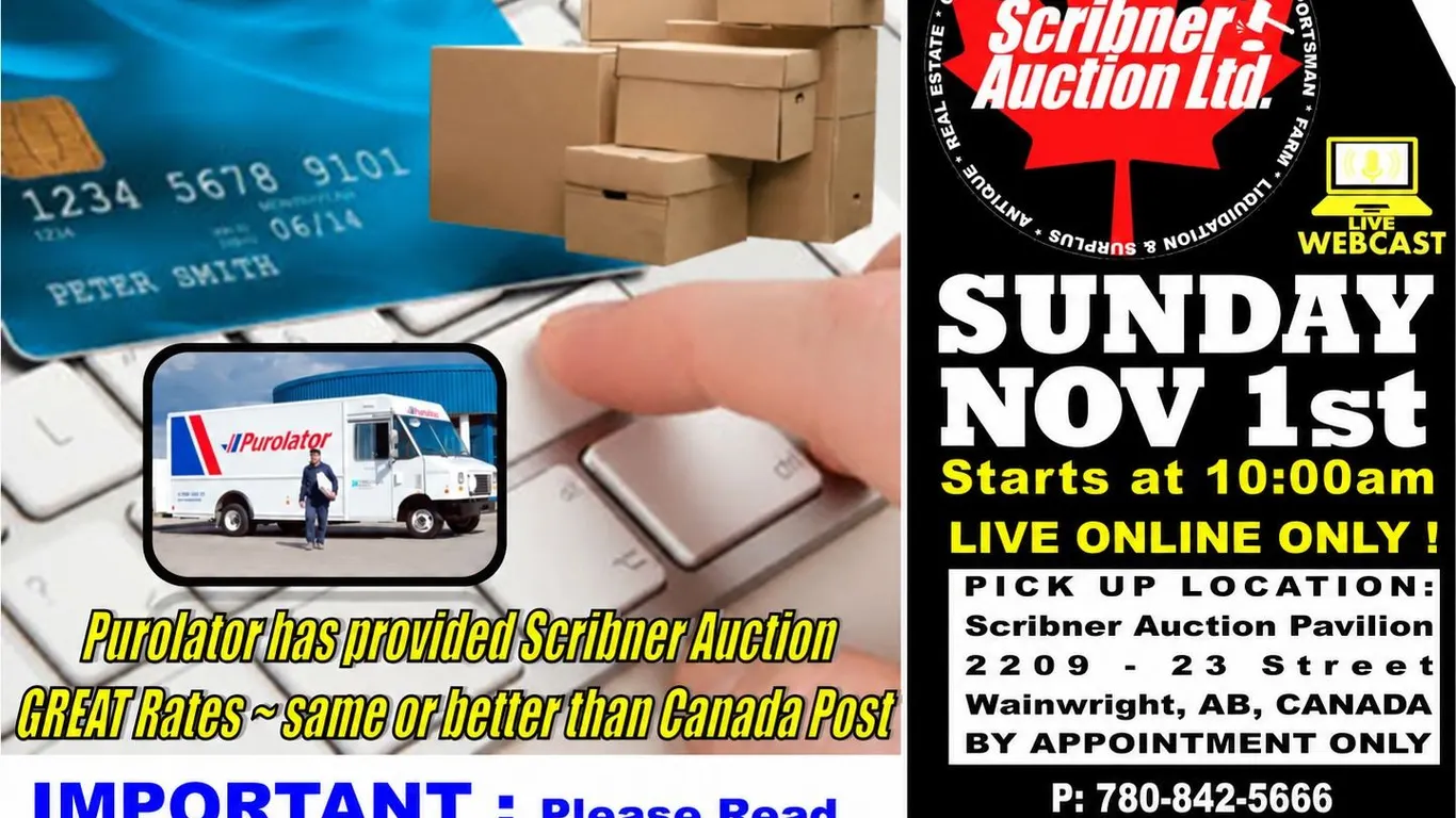 Payment & Shipping