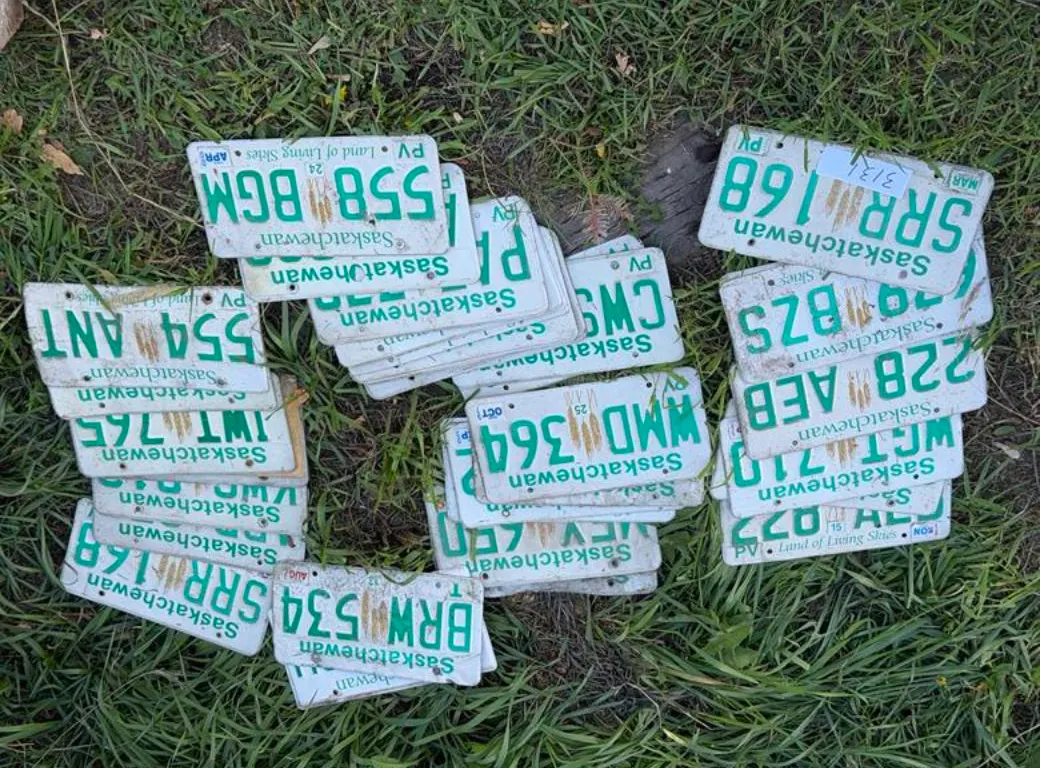 Assorted Saskatchewan Licence Plates