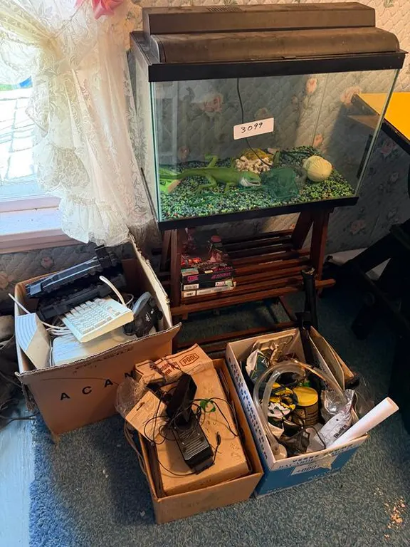 Aquarium and Accessories & Keyboards