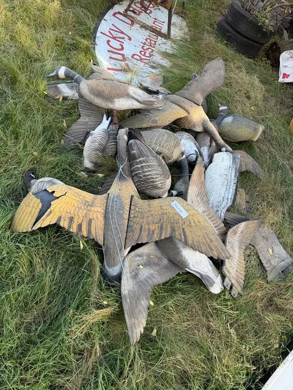 Goose Decoys