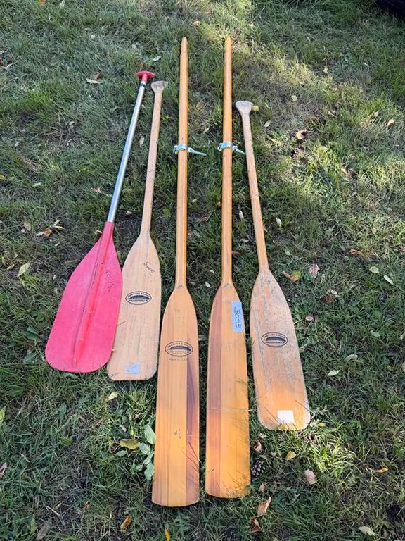 Assorted Paddles and Oars
