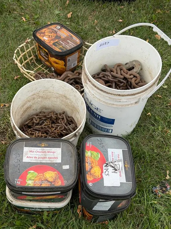 Assorted Chains and Chain Parts