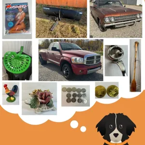 Consignment Online Auction