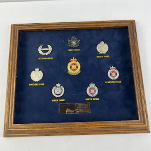 Military/Police Service badge collection
