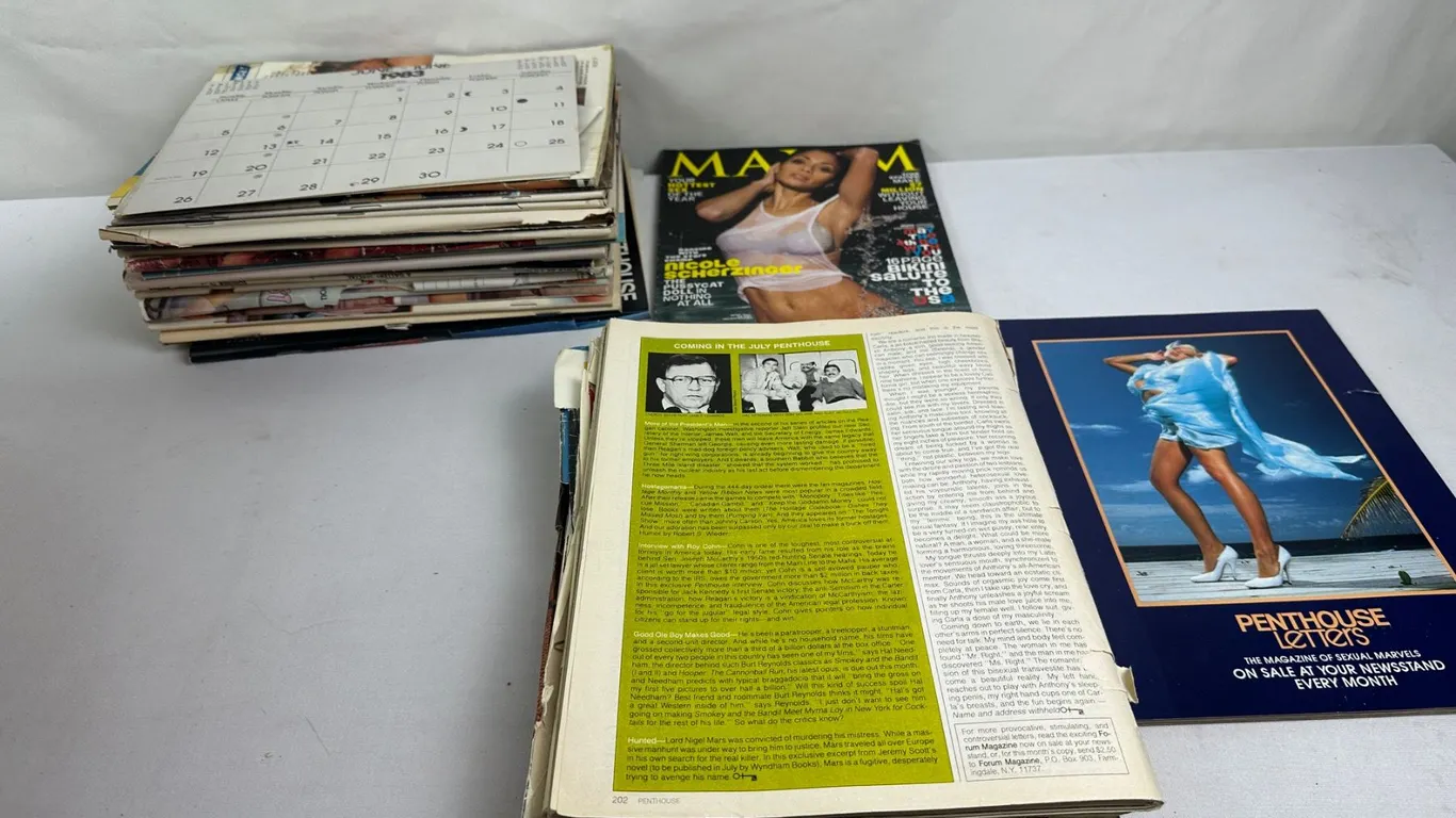 Large Box Assorted XXX Magazines