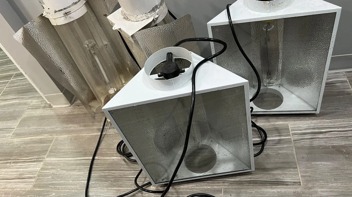 3 Phase Lights
