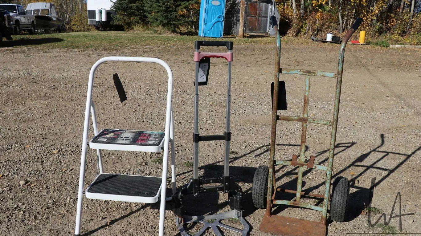 Two carts including one folding